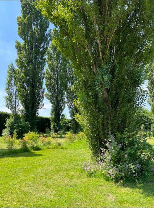Domaine Des Epinettes Hotel Saint-Romain-de-Jalionas Bagian luar foto